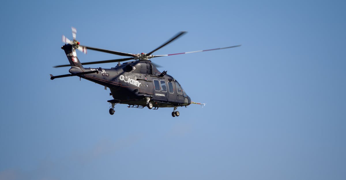 花生ip实名账号：茶叶批发平台诚招代理