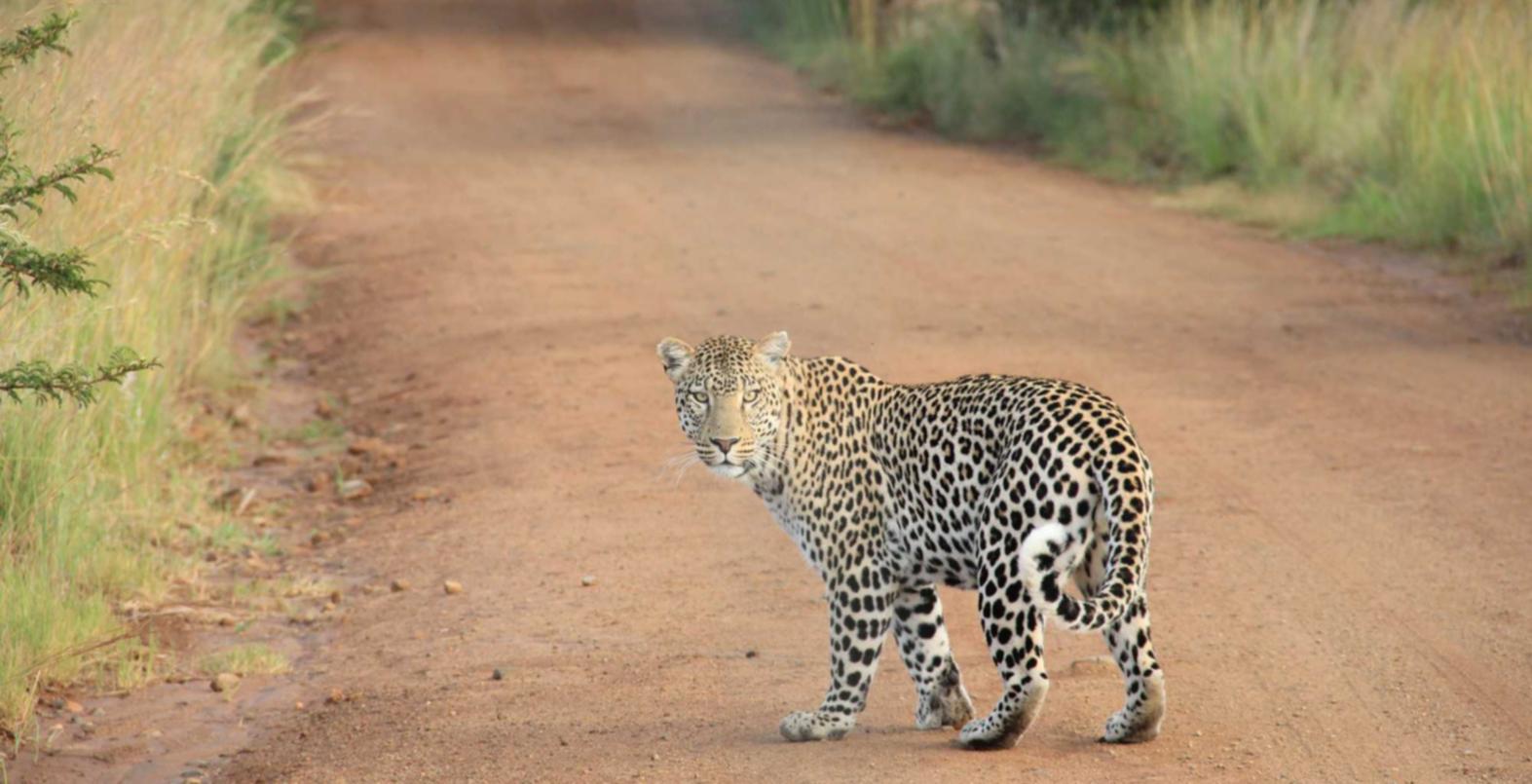 短信营销中的数据保护和隐私政策