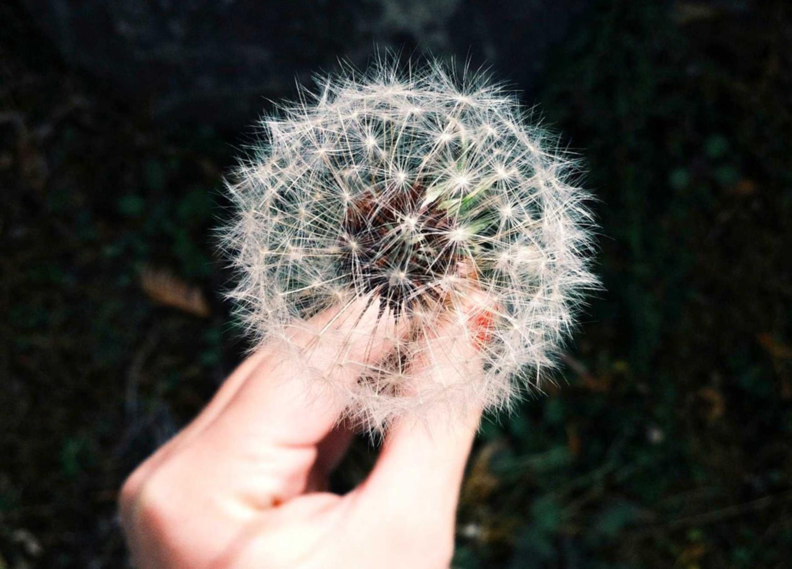 http攻击|爱玩游戏app详情下载教程