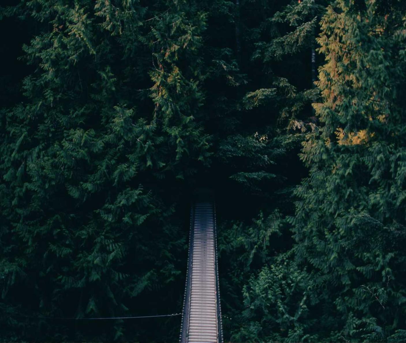 DDOS压力测试|深圳工商注册代理金额多少