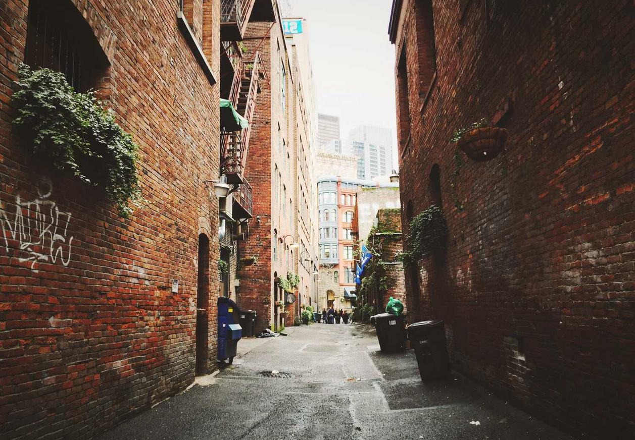 又拍云实名账号：怀山药购买平台