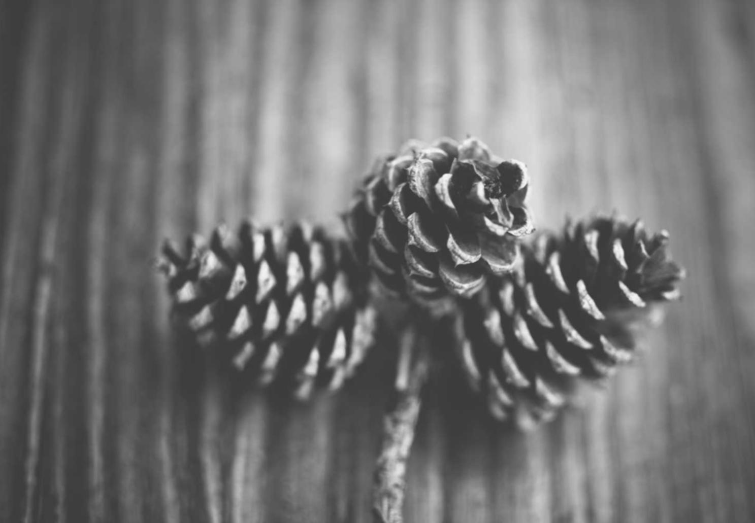 58同城实名账号：东莞用什么平台购买生鲜好