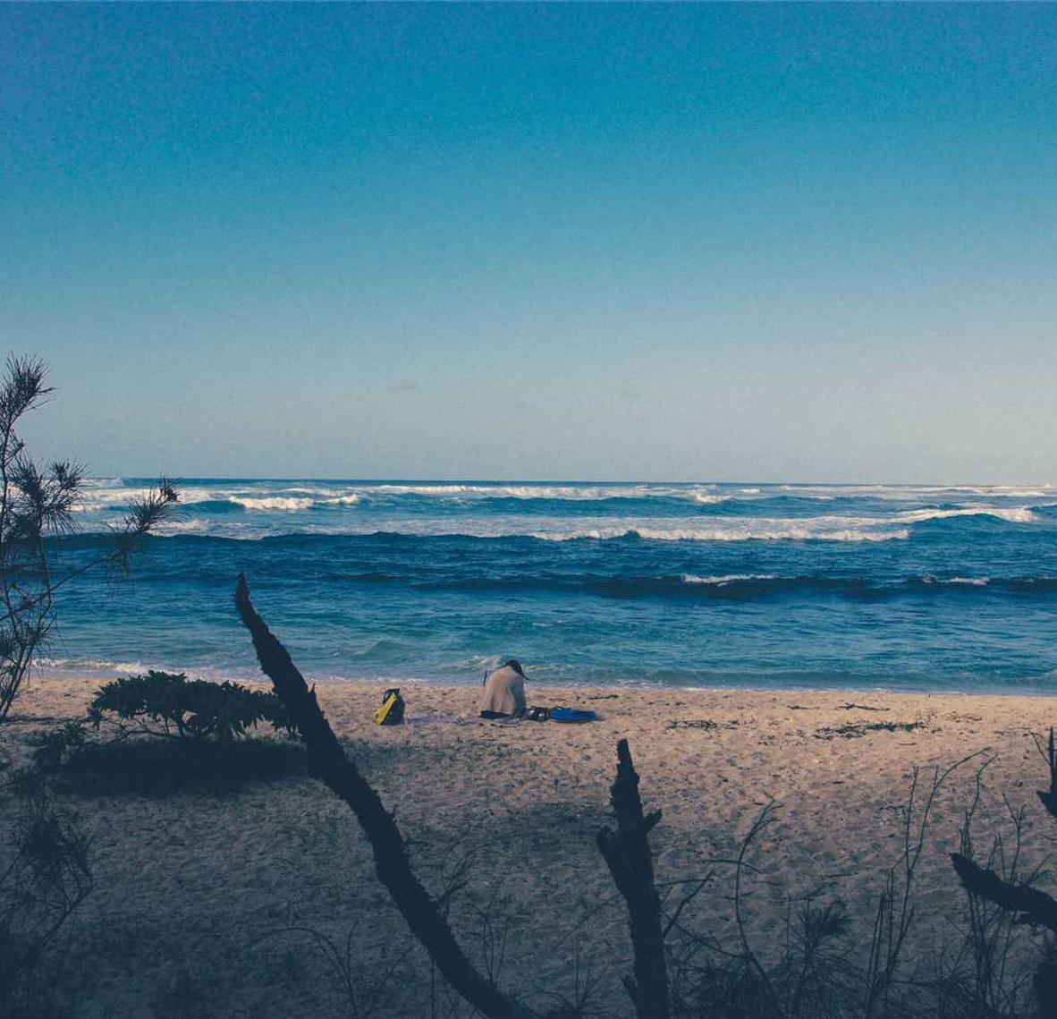 长安幻想：铜川人社App详情下载教程