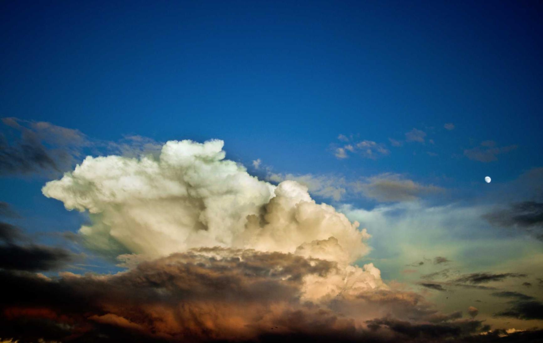 EGON:代理注册丹麦公司