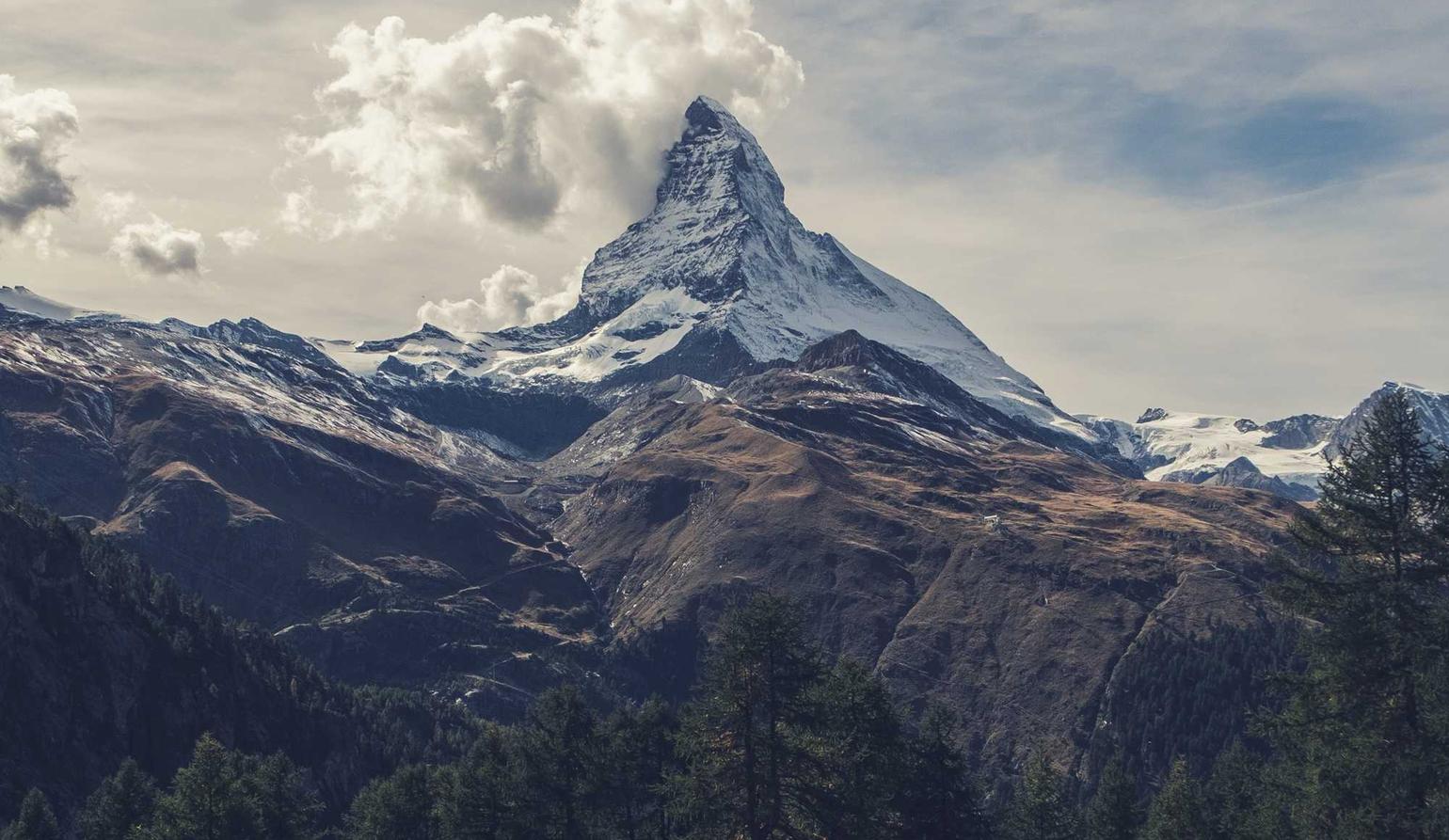 太极熊猫2辅助- 餐具同城购买平台