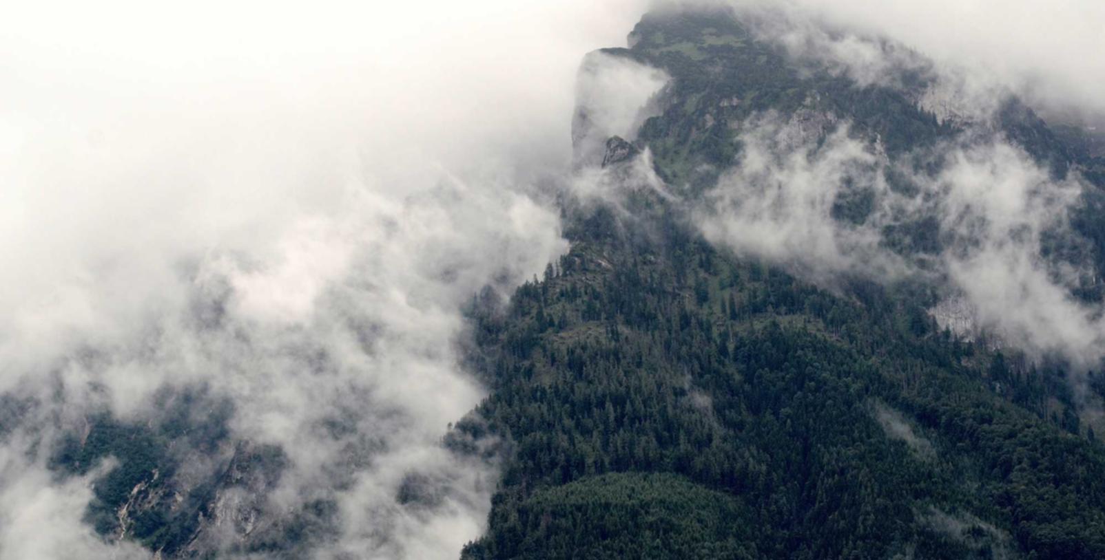 中免肯特薄荷蓝冰爆珠（5mg）：注册高德代理