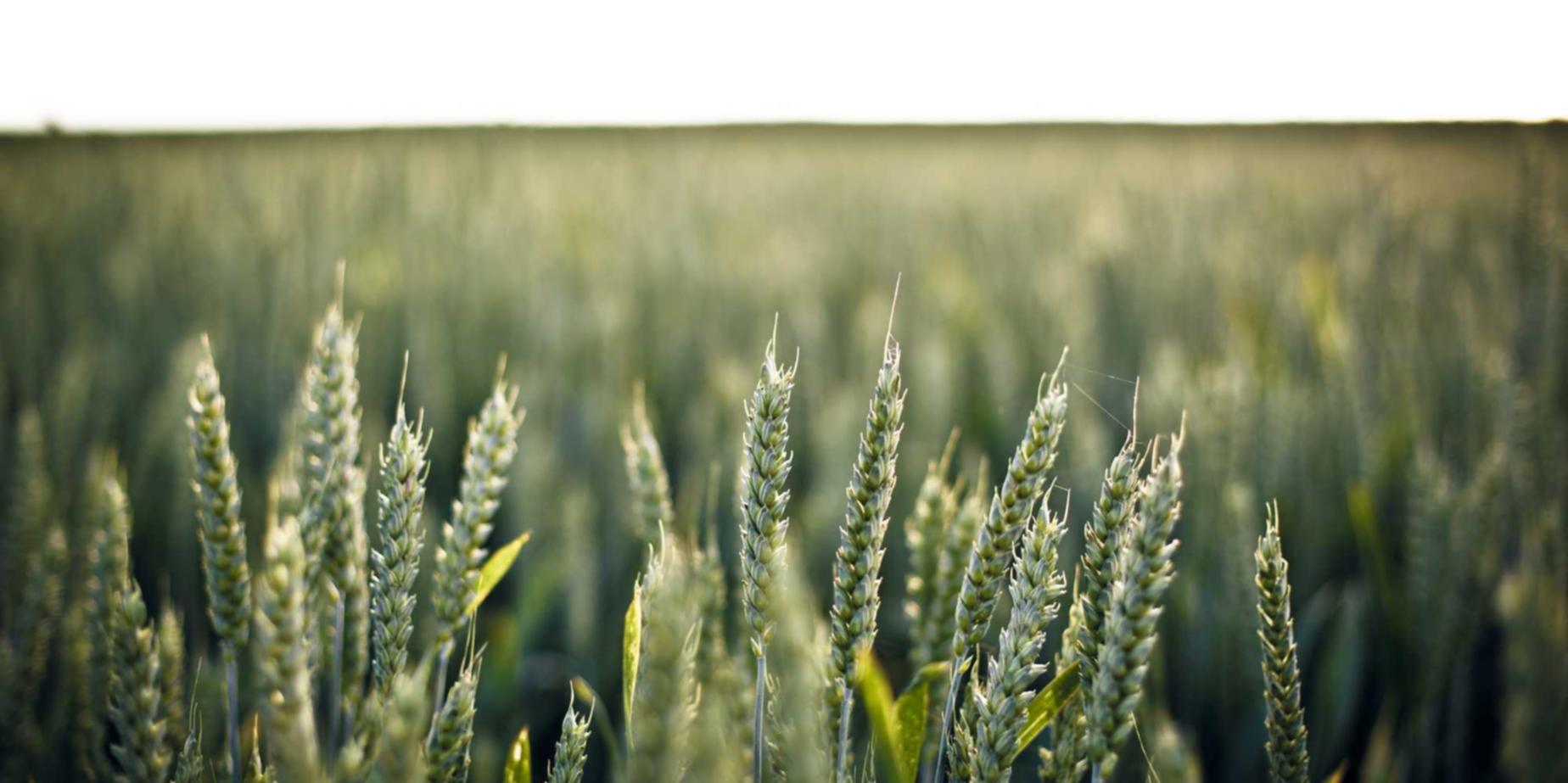 免费攻击网站|前程无忧注册账号