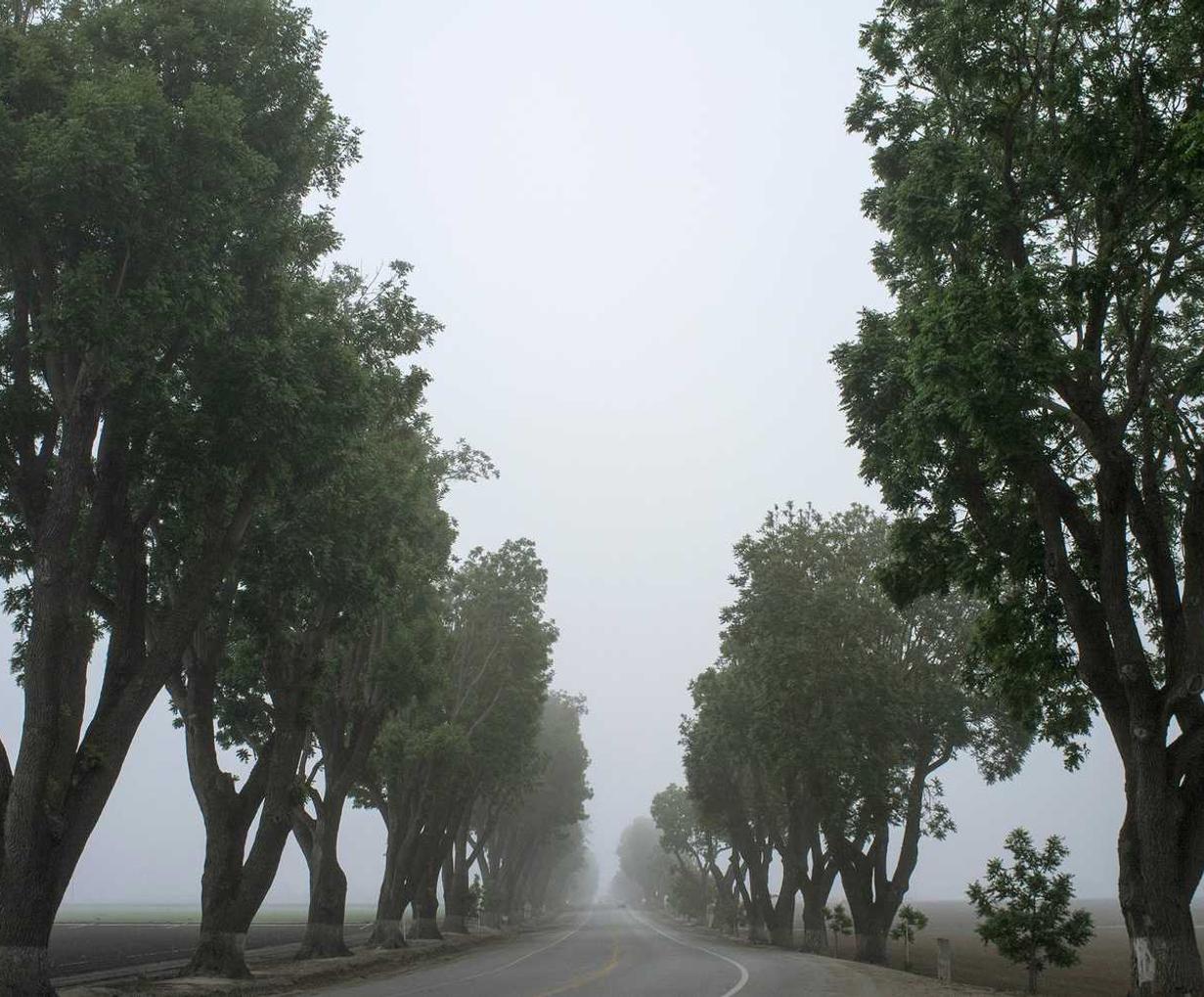 贴吧实名账号：零度云控微信号购买平台