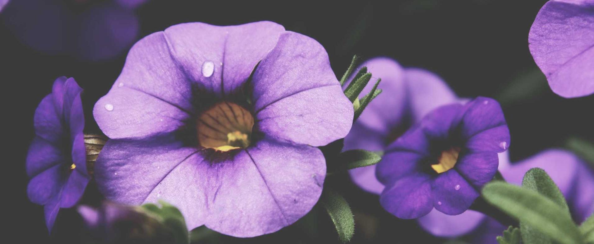 神之浩劫账号注册