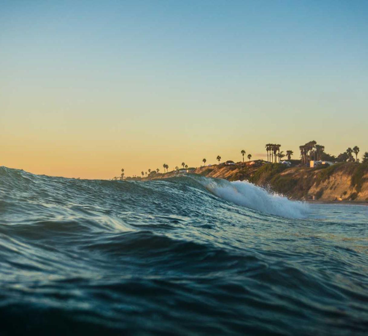 如何用SEO优化创业者的网站 