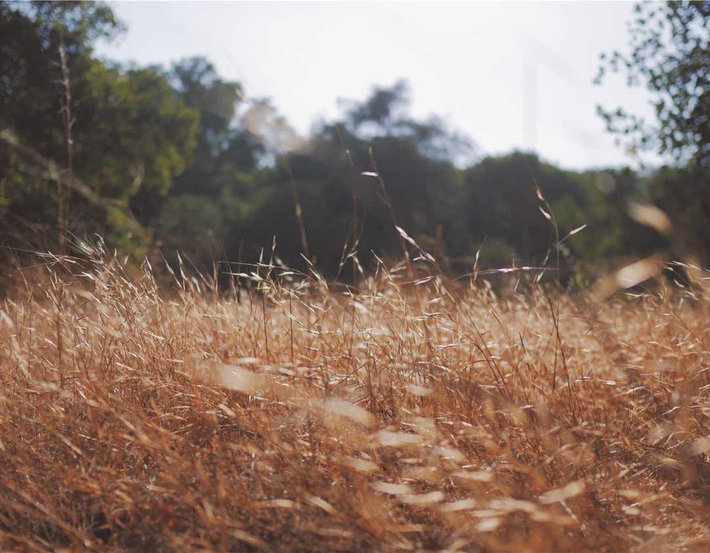 专用实名三网卡- 麻章代理注册