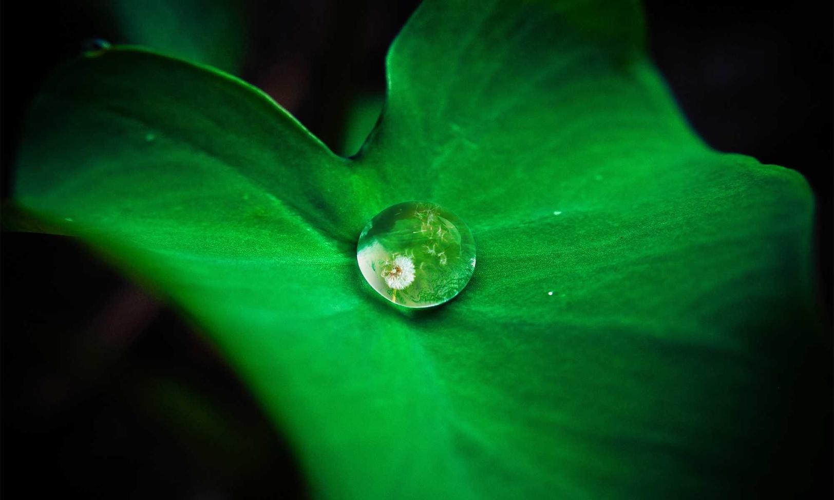 解读DDOS流量攻击游戏- 高淳区注册代理联系方式