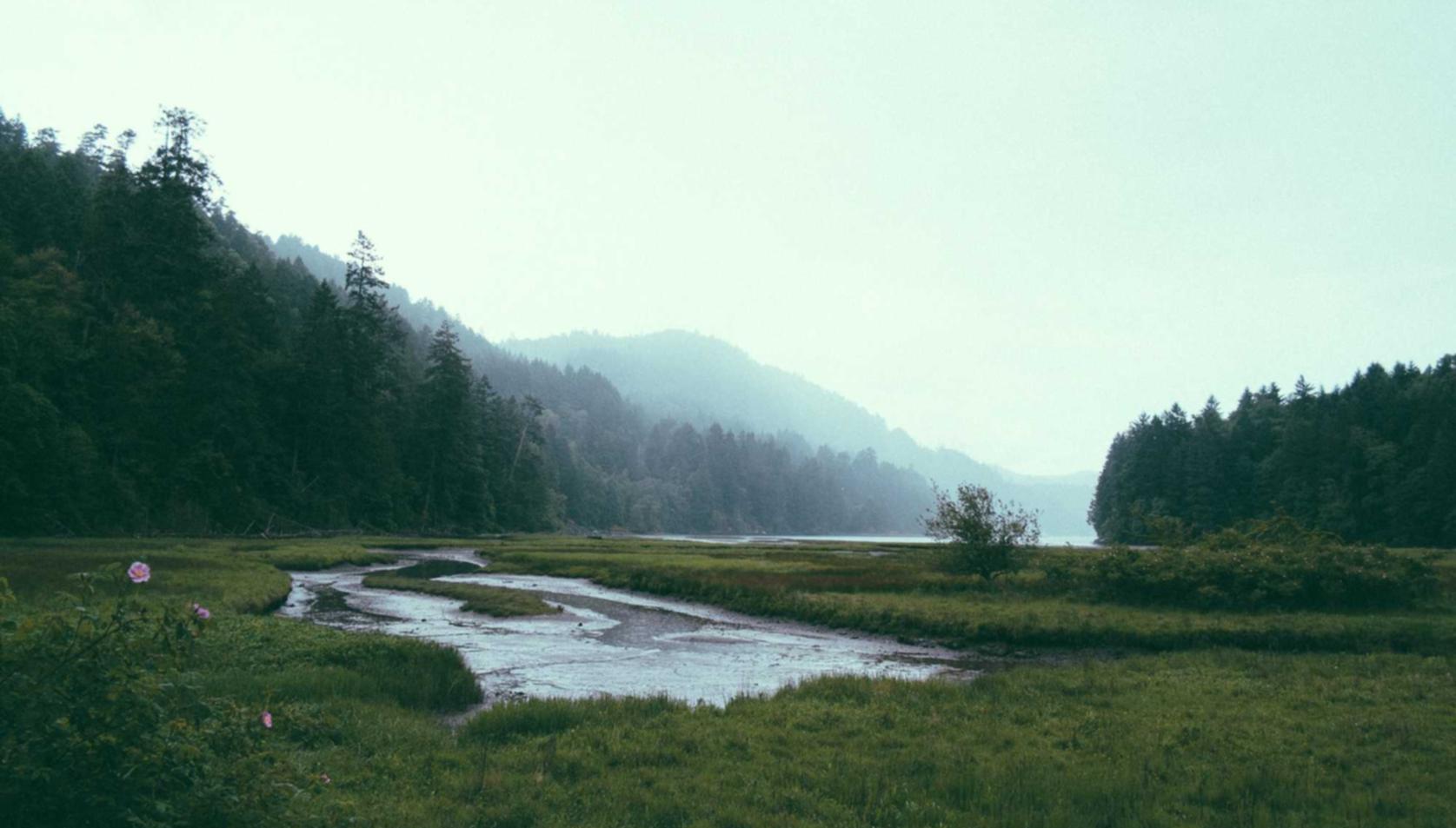 青牛软件实名账号：凤城人app详情下载教程