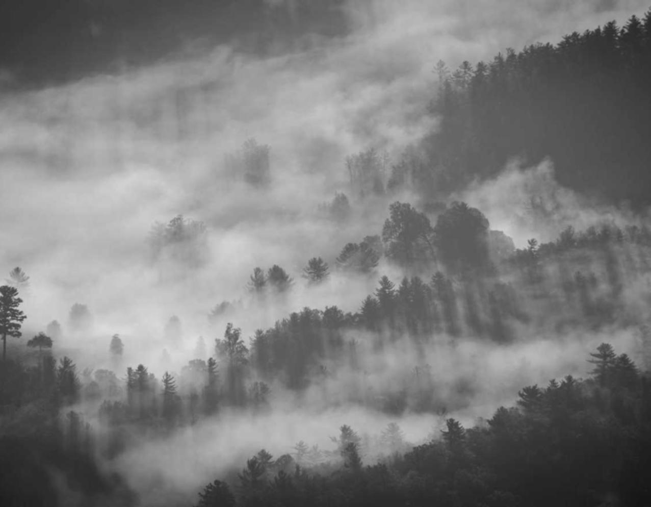 已绑卡实名账号：各种平台代理