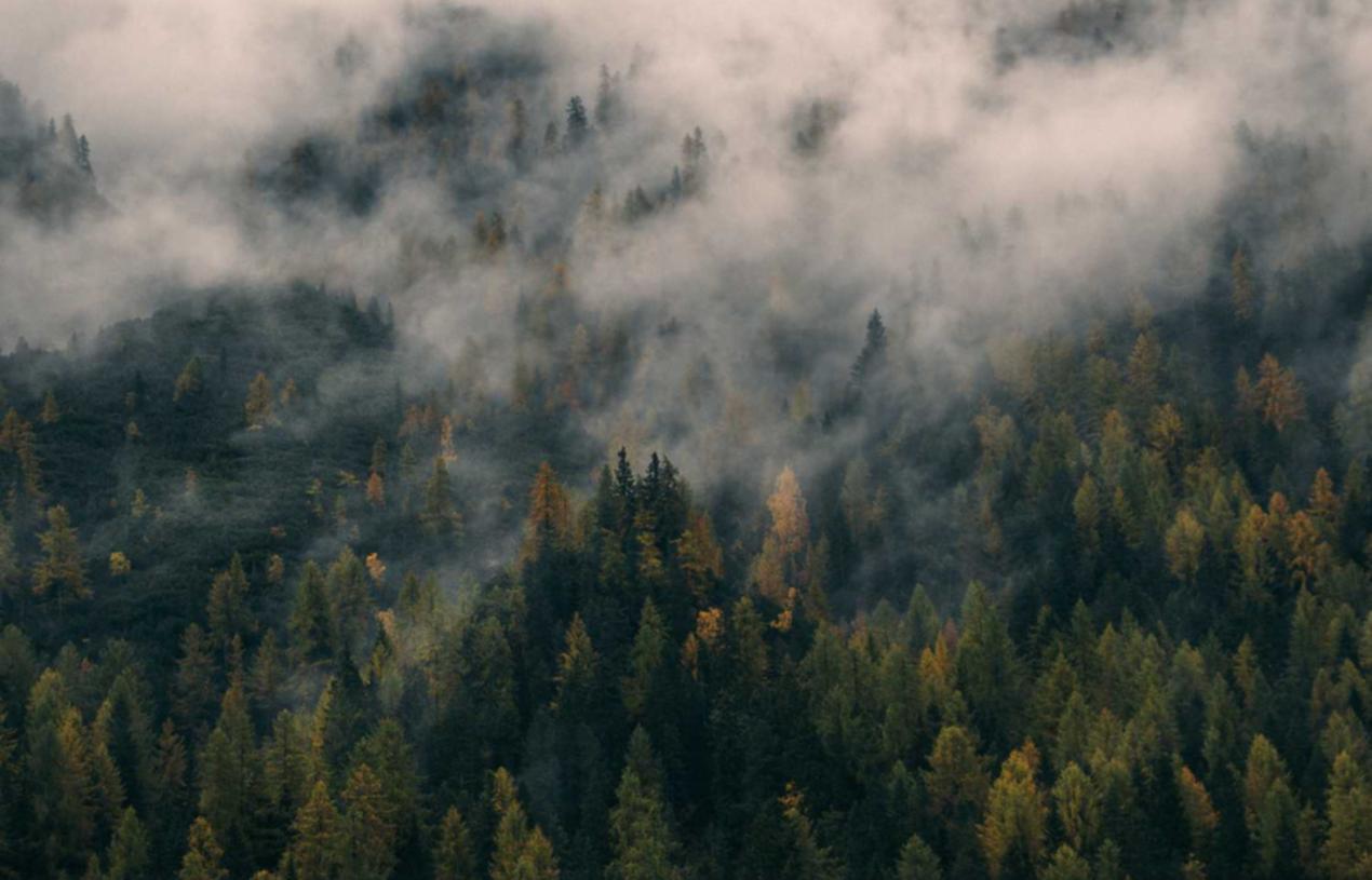 免费攻击网站|农村淘宝app详情下载教程