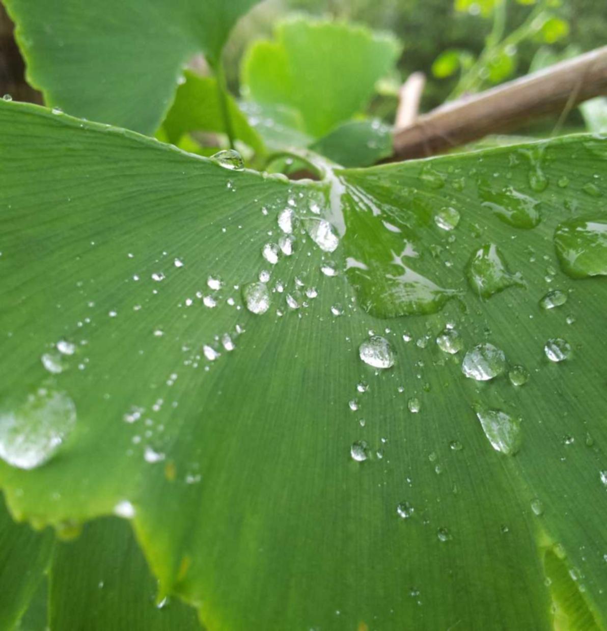 EVE国际服：代理打款平台