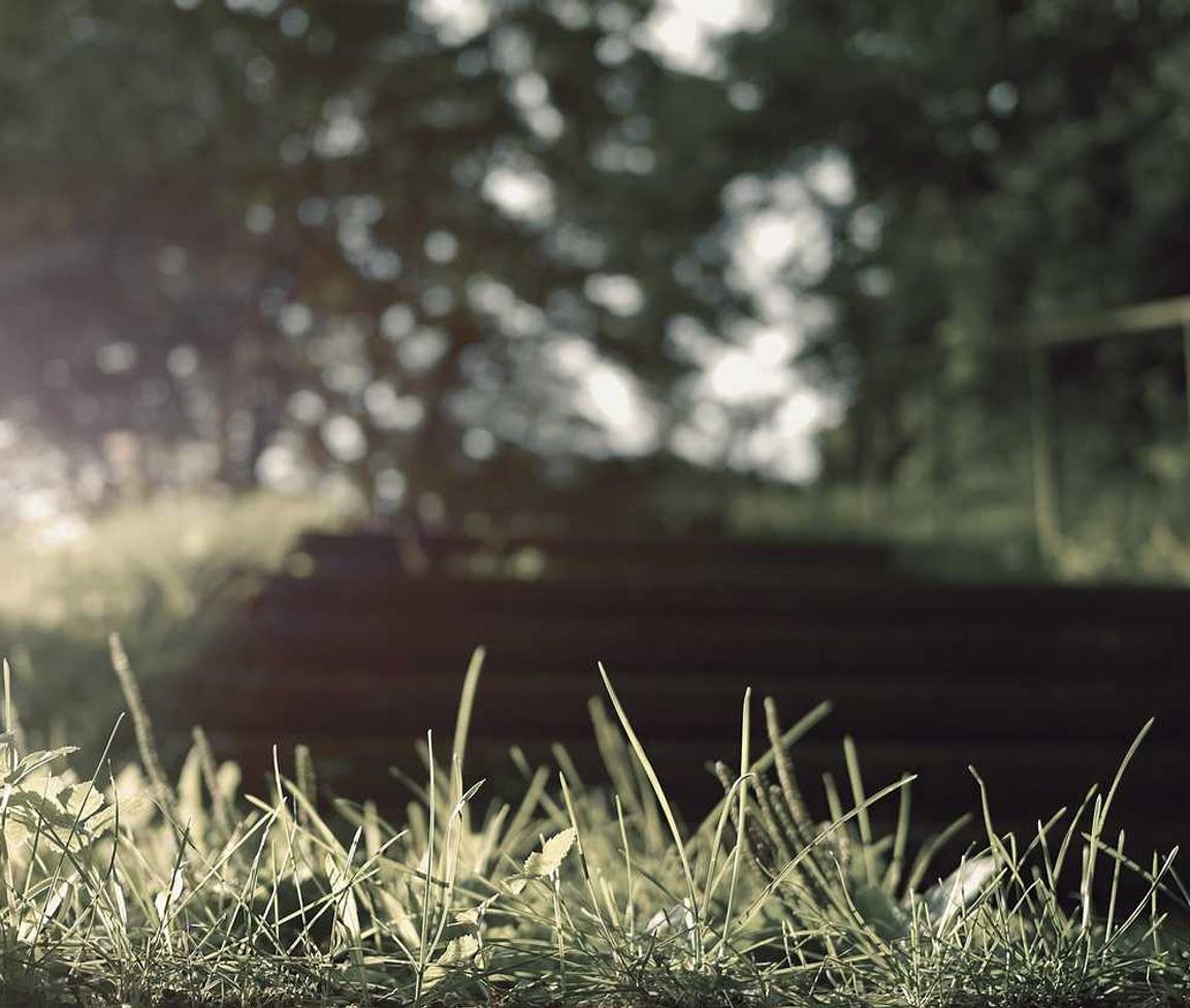 豌豆ip实名账号:九寨沟零食购买平台官网