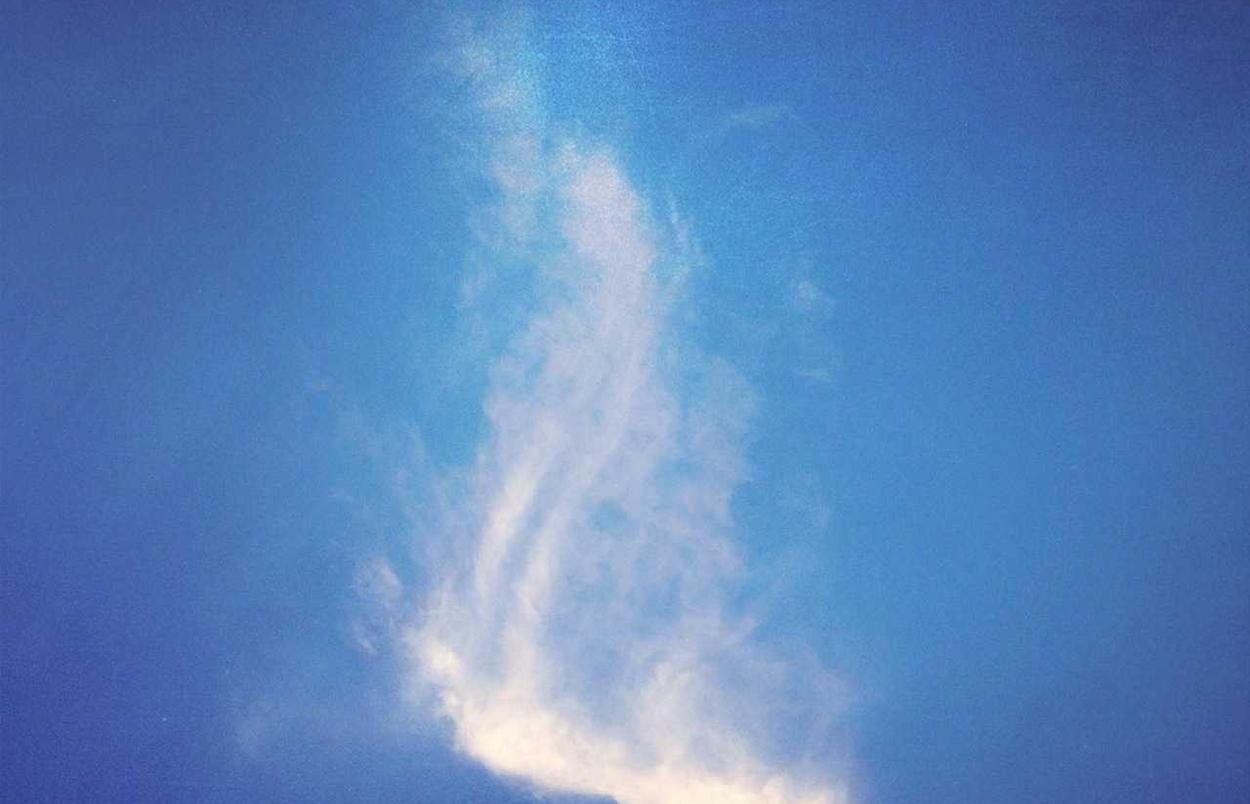 诛仙世界辅助- 高安公司注册代理