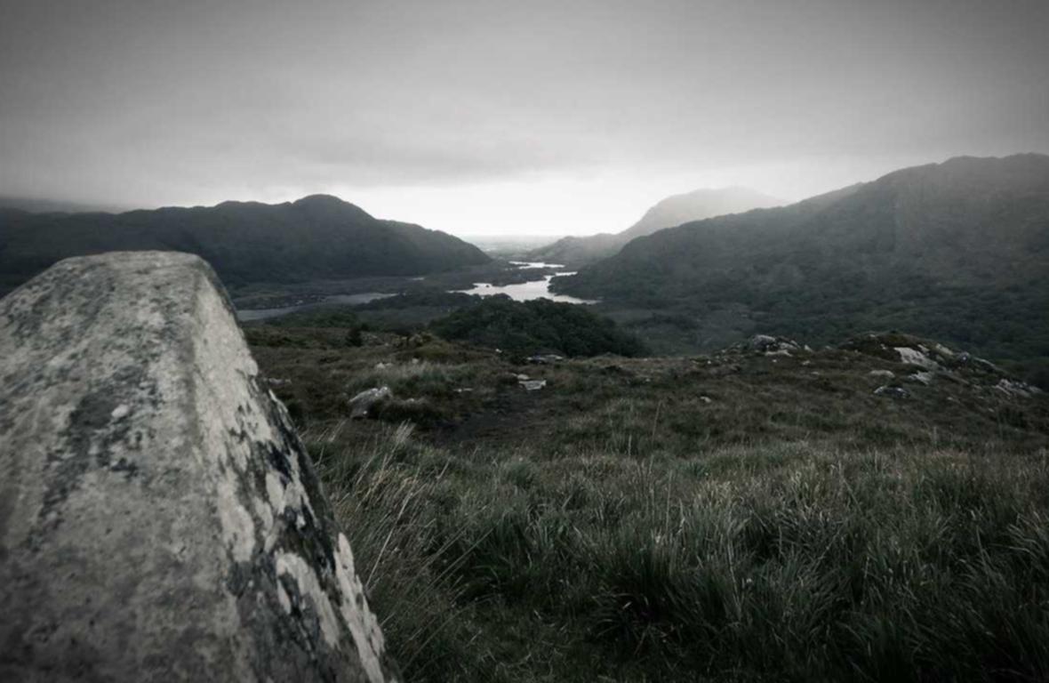 解读肉鸡的DDOS攻击- 鹤壁代理商标注册多少钱