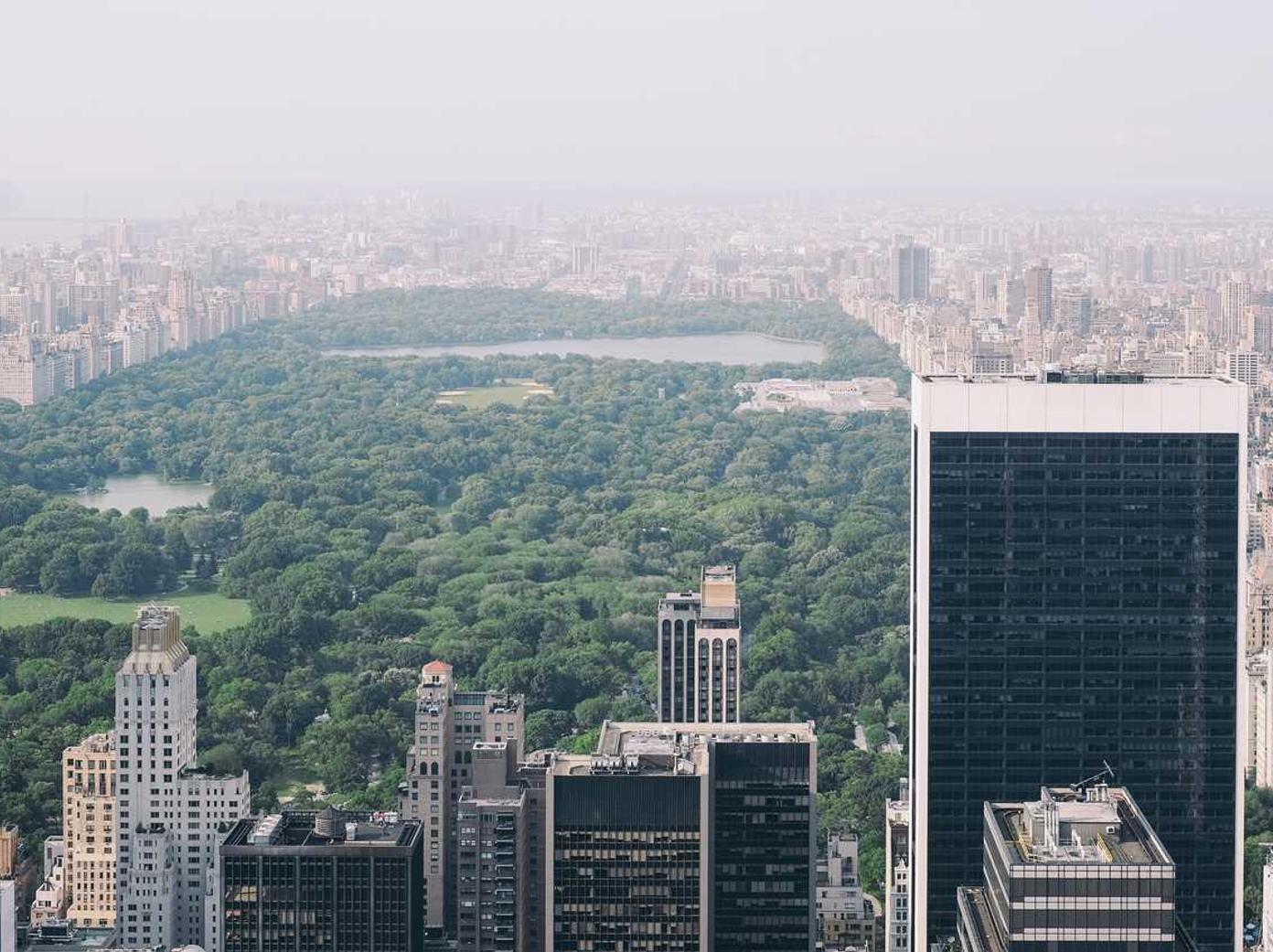 菠萝云实名账号:正规合法平台购买