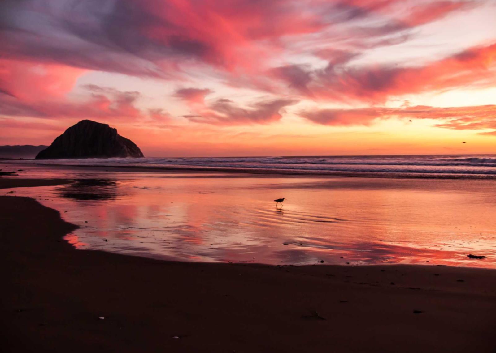 红桃娱乐，注册|beat购买平台