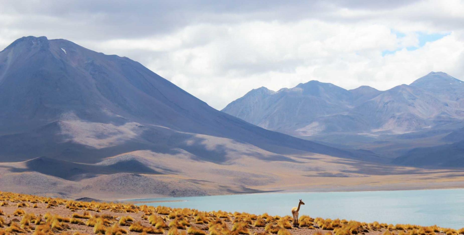 依云娱乐，注册|新代理记账公司注册